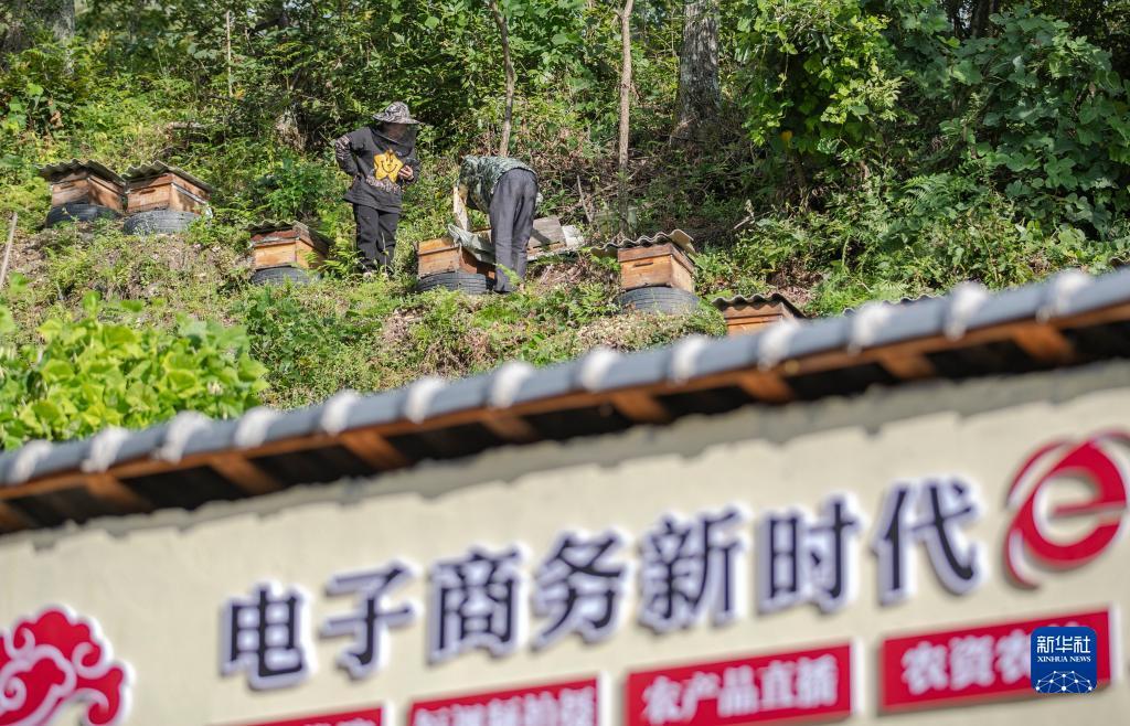 捕鱼最低00.01-1元入场